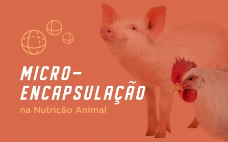 Vídeo - Produção e Aplicação de Microencapsulados na Nutrição Animal